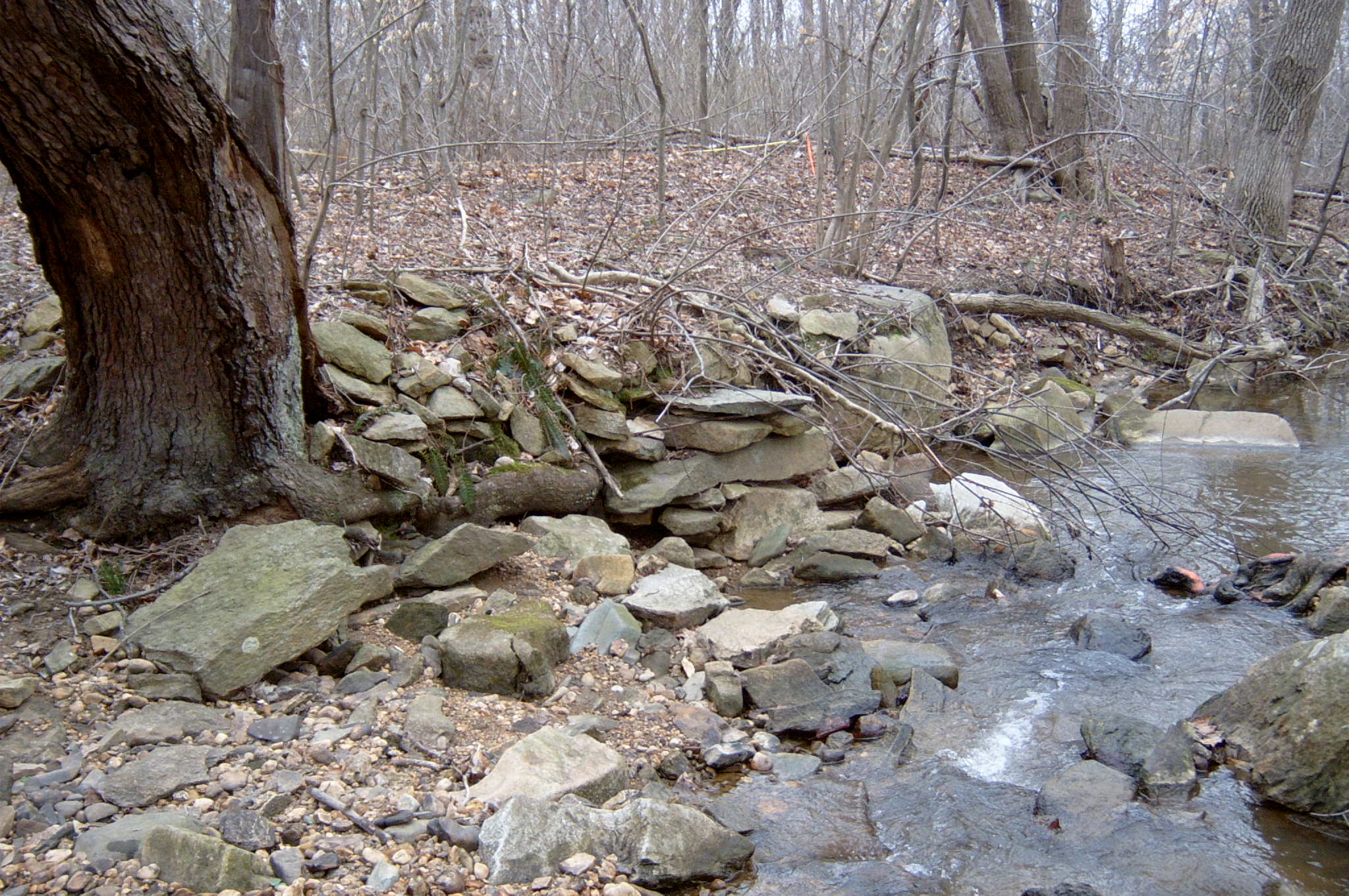 Field photo showing stream conditions at site LSUS-109-R-2004-79