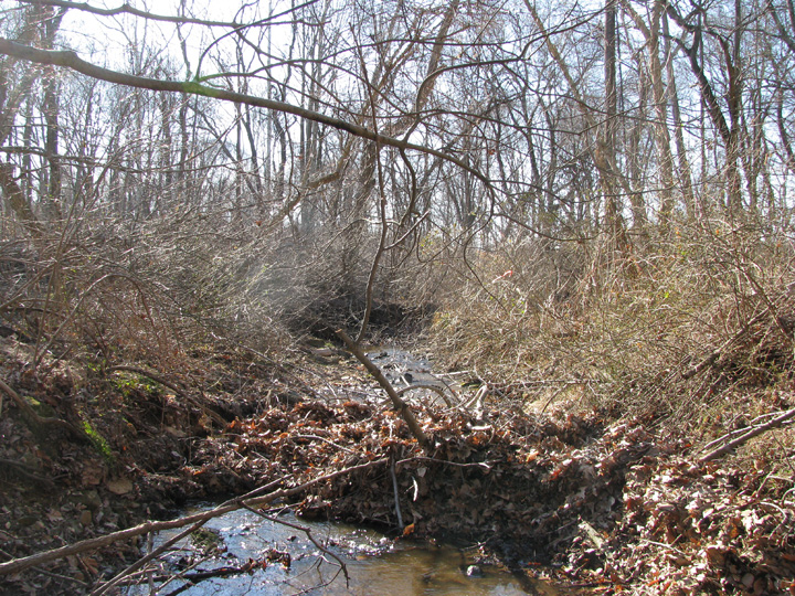 Field photo showing stream conditions at site LSUS-111-R-2009-1