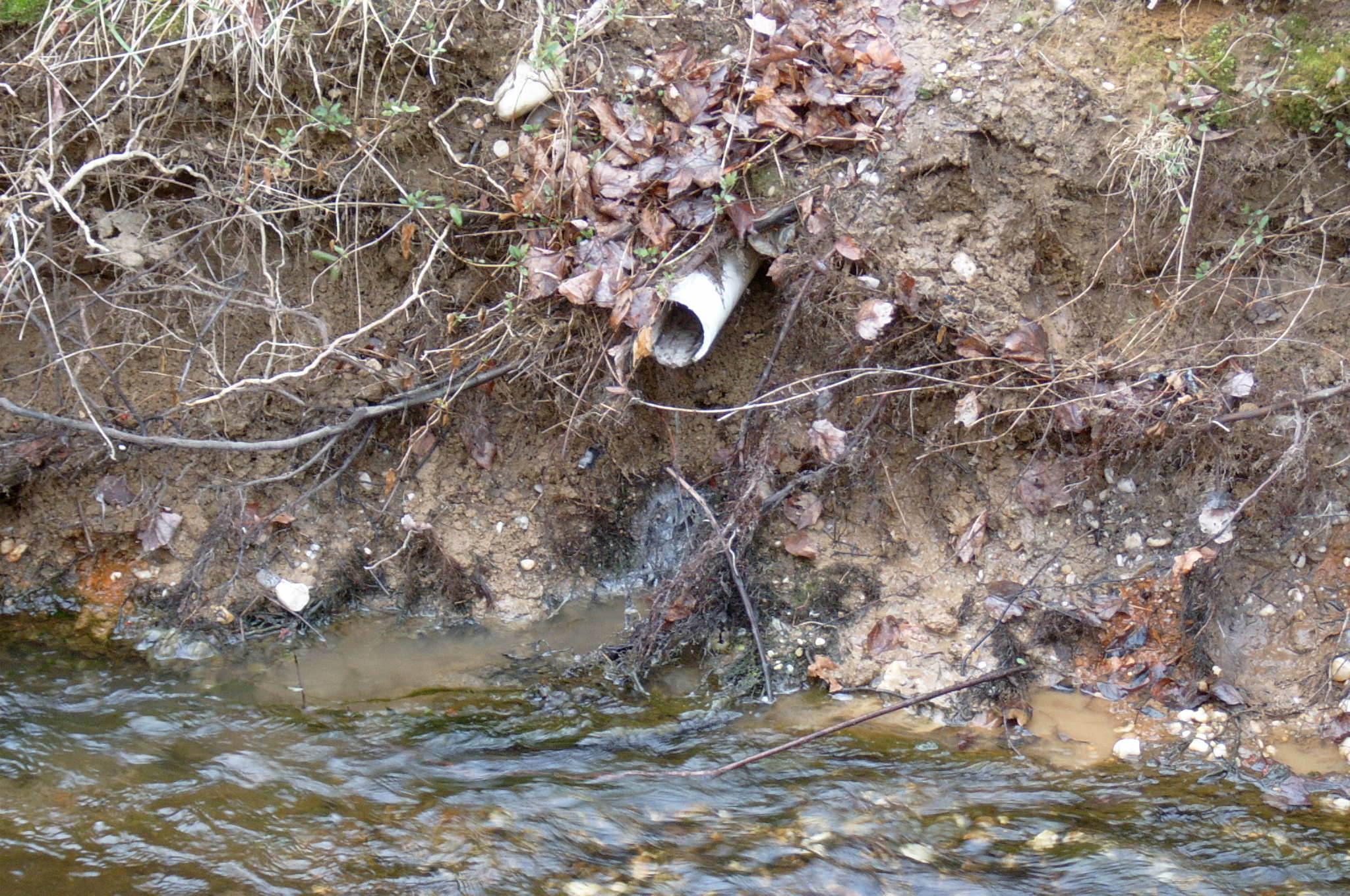 Field photo showing stream conditions at site LSUS-117-R-2004-96