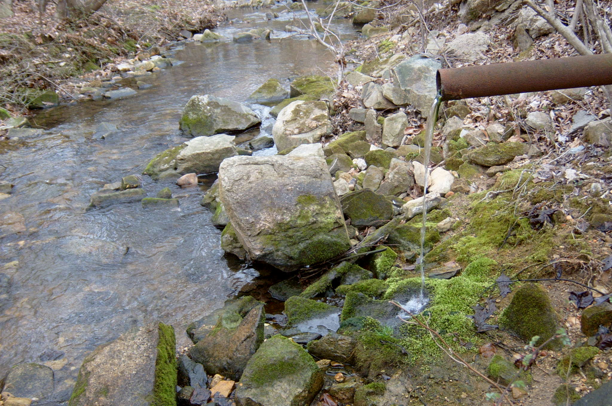 Field photo showing stream conditions at site LSUS-119-R-2004-85