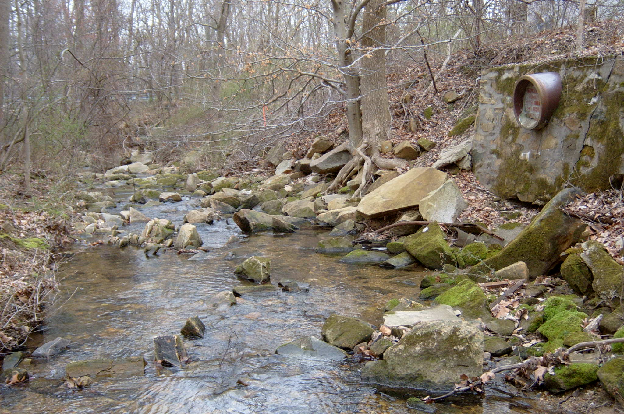 Field photo showing stream conditions at site LSUS-119-R-2004-86