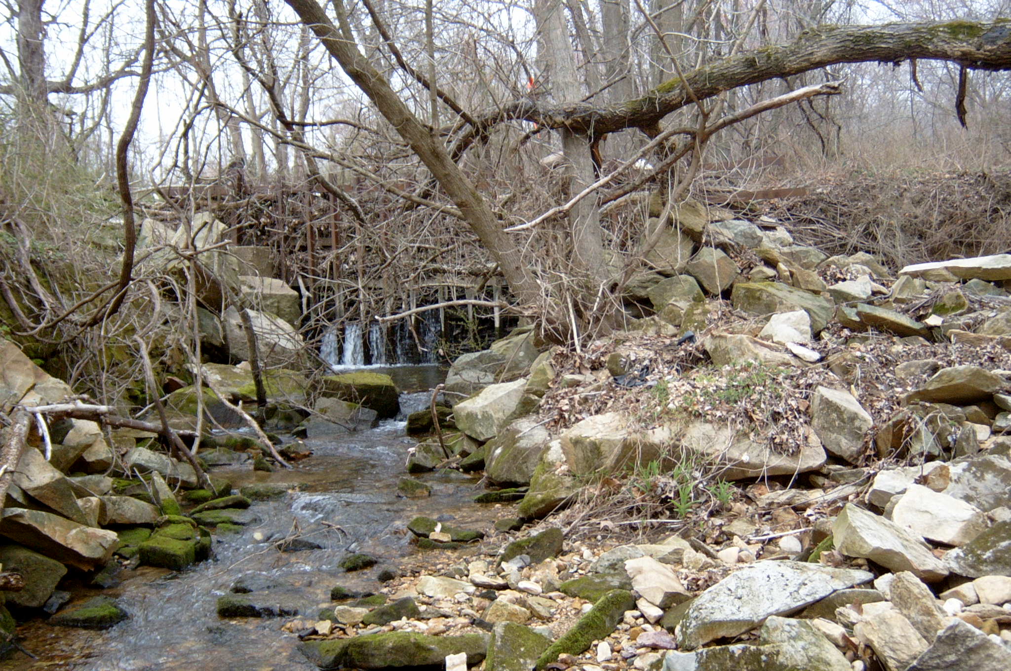 Field photo showing stream conditions at site LSUS-119-R-2004-87