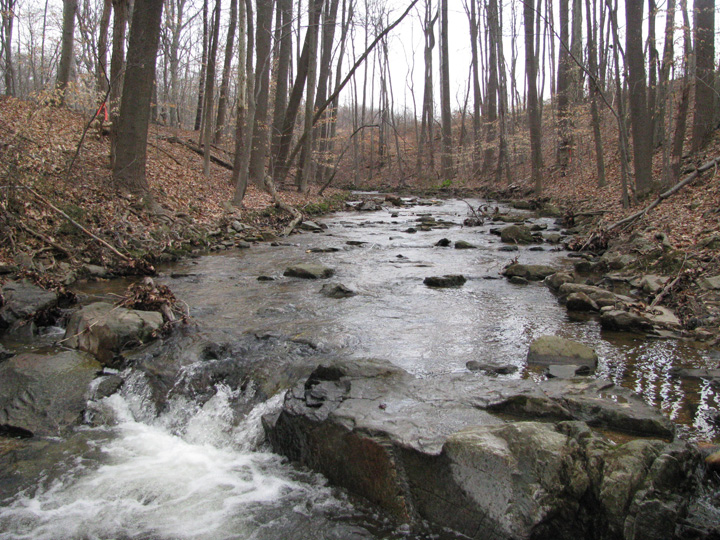 Field photo showing stream conditions at site LSUS-292-A-2011-1
