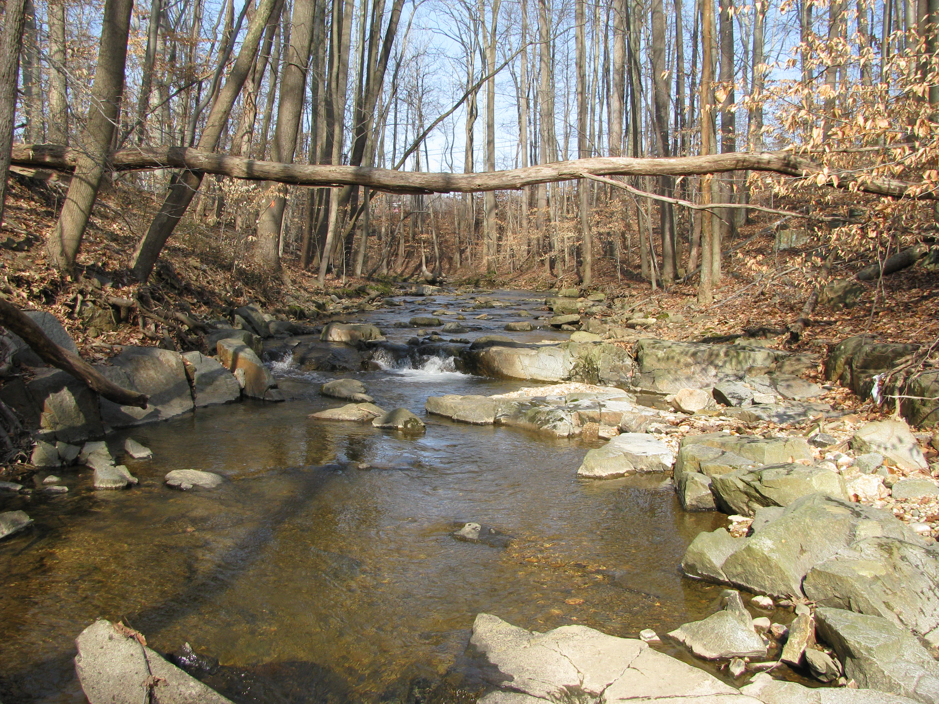 Field photo showing stream conditions at site LSUS-293-A-2012-1