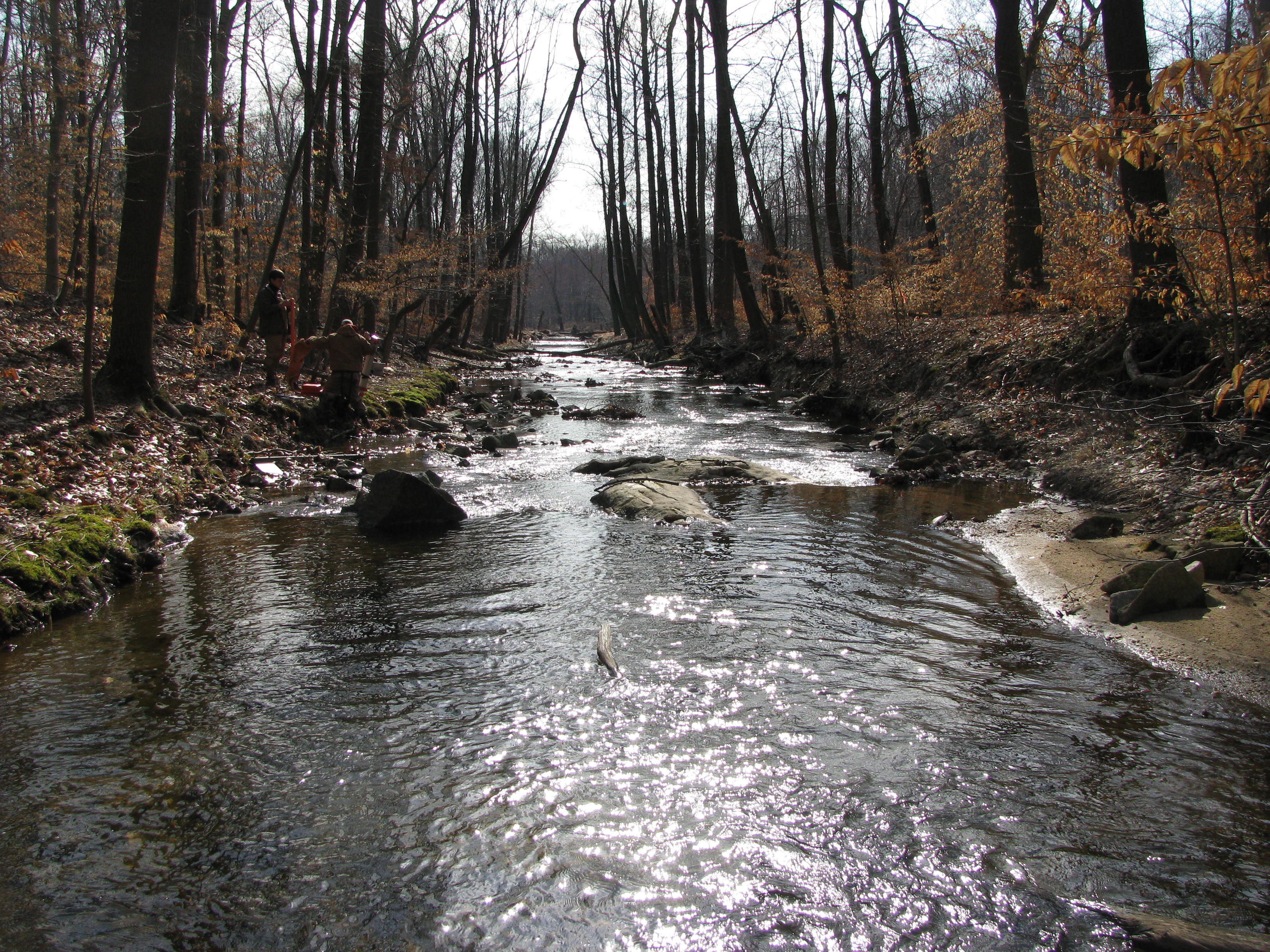 Field photo showing stream conditions at site LSUS-293-A-2012-2
