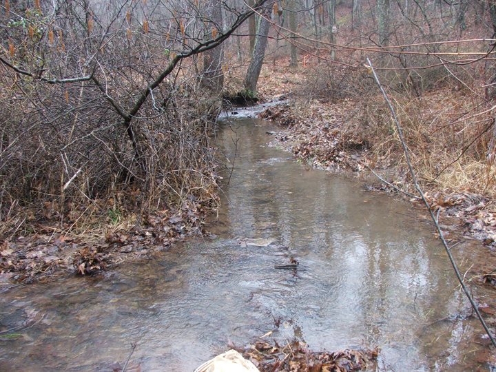 Field photo showing stream conditions at site LTON-101-B-2008-1