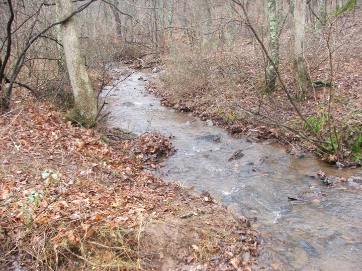 Field photo showing stream conditions at site LTON-101-B-2008-2