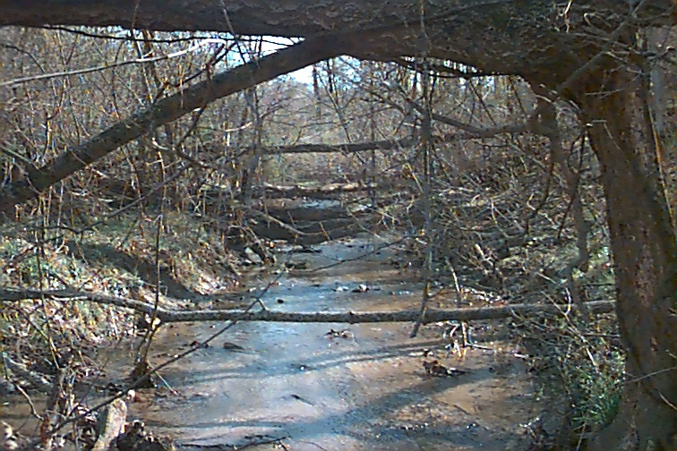 Field photo showing stream conditions at site LTON-108-R-2000-01