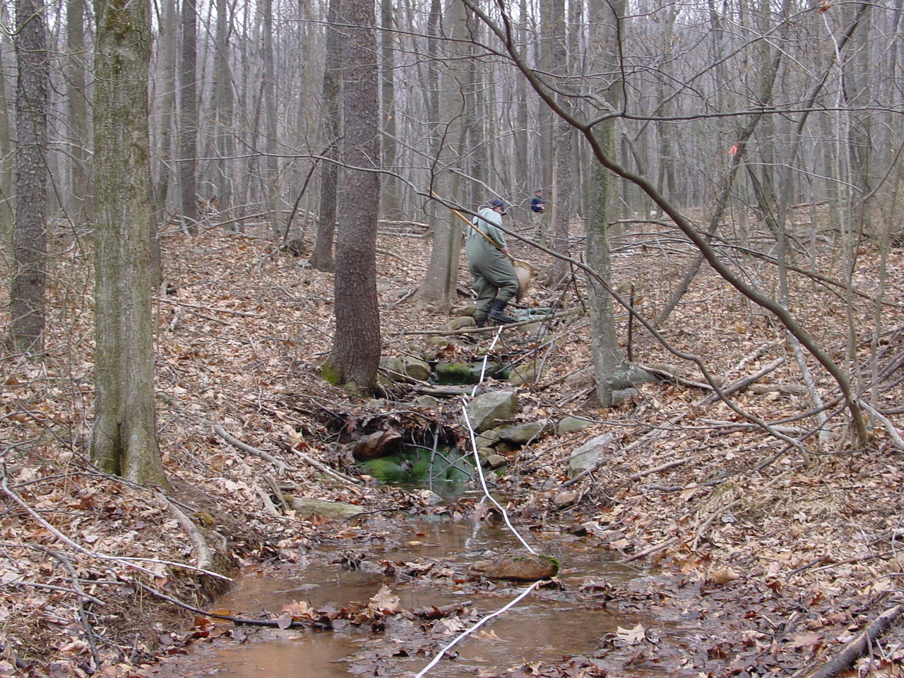 Field photo showing stream conditions at site LTON-113-R-2002-1
