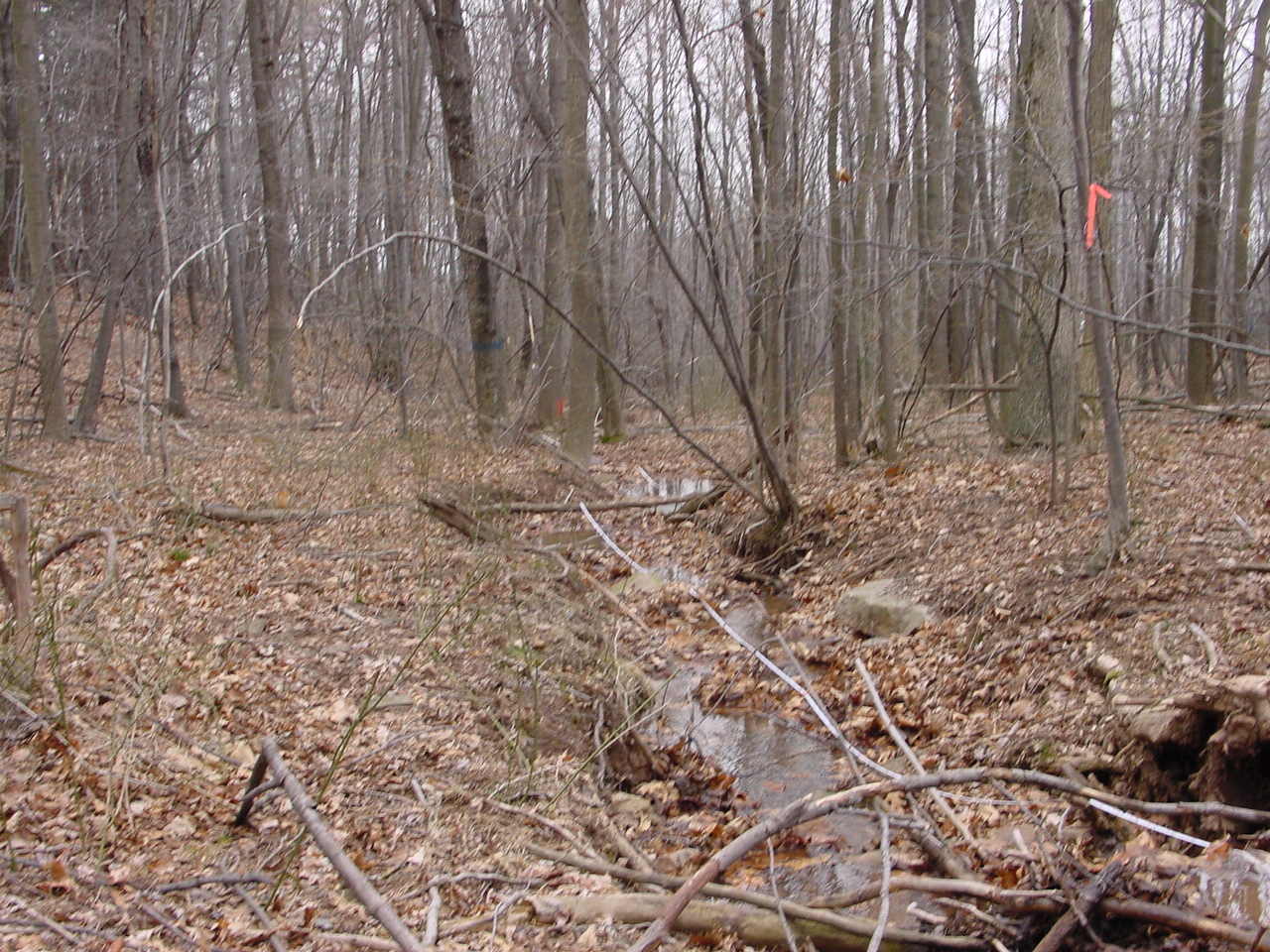 Field photo showing stream conditions at site LTON-113-R-2002-2