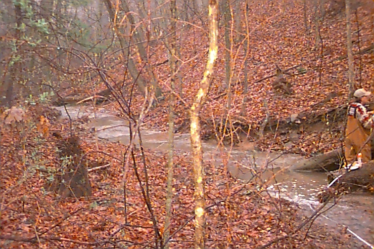 Field photo showing stream conditions at site LTON-114-R-2000-02