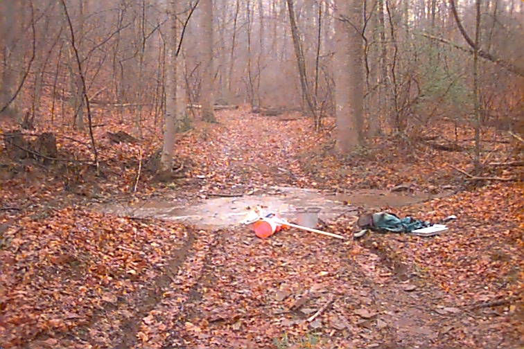 Field photo showing stream conditions at site LTON-114-R-2000-03