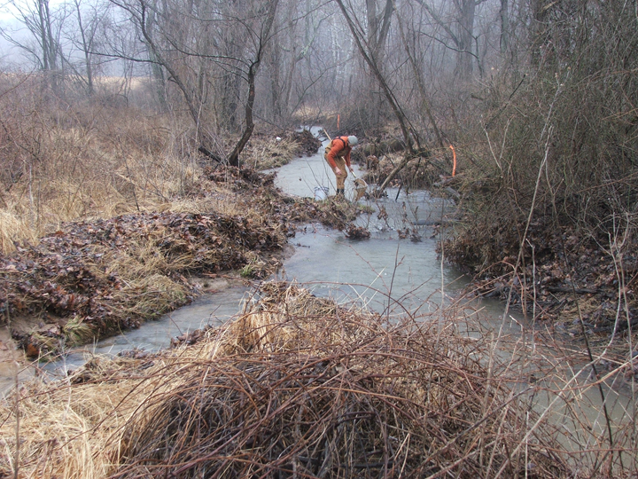 Field photo showing stream conditions at site LTON-202-R-2008-1