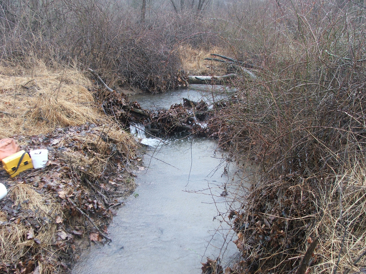 Field photo showing stream conditions at site LTON-202-R-2008-2