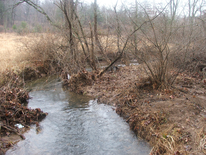 Field photo showing stream conditions at site LTON-205-R-2008-1