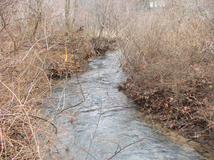 Field photo showing stream conditions at site LTON-205-R-2008-2