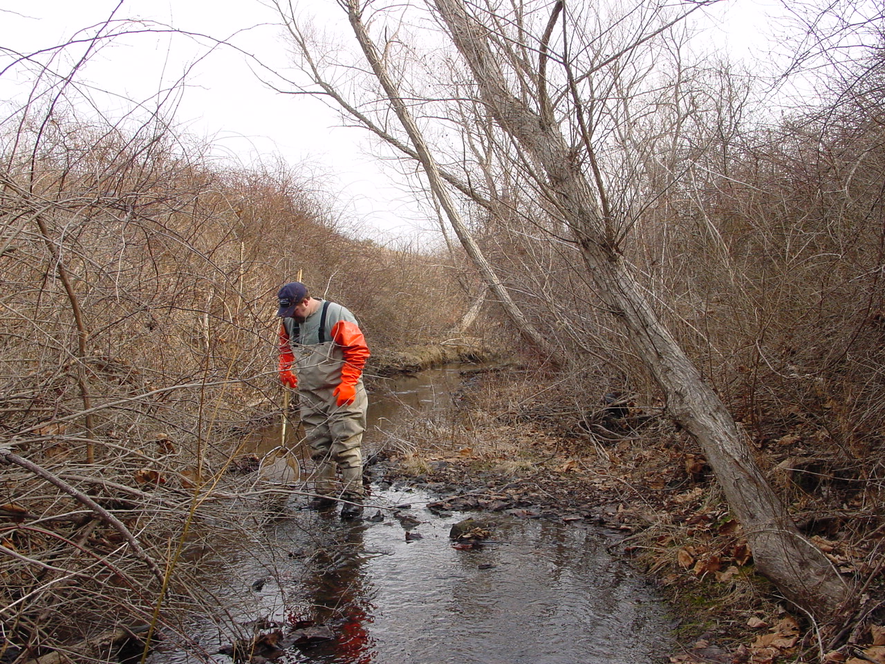 Field photo showing stream conditions at site LTON-210-R-2002-2
