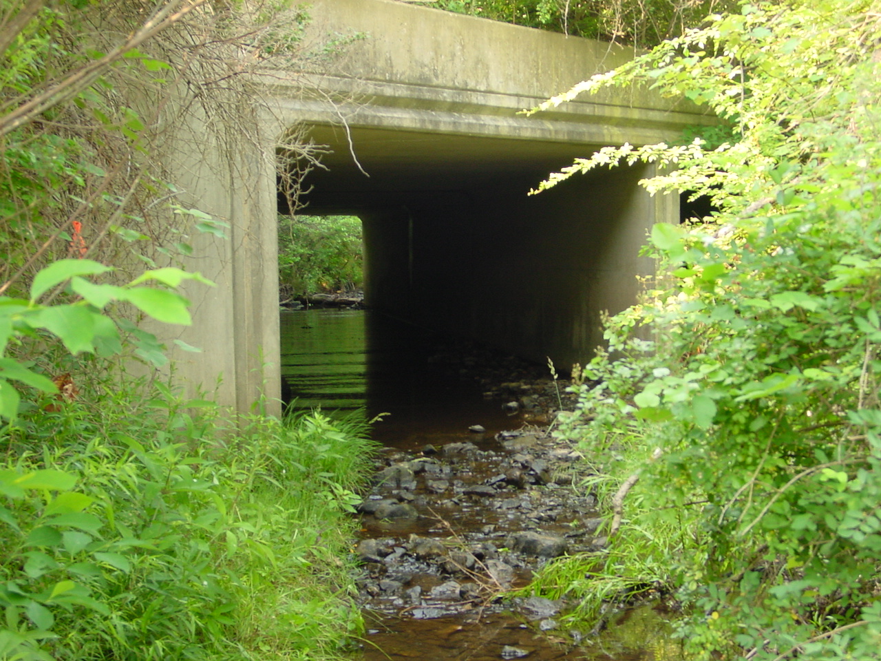 Field photo showing stream conditions at site LTON-210-R-2002-3