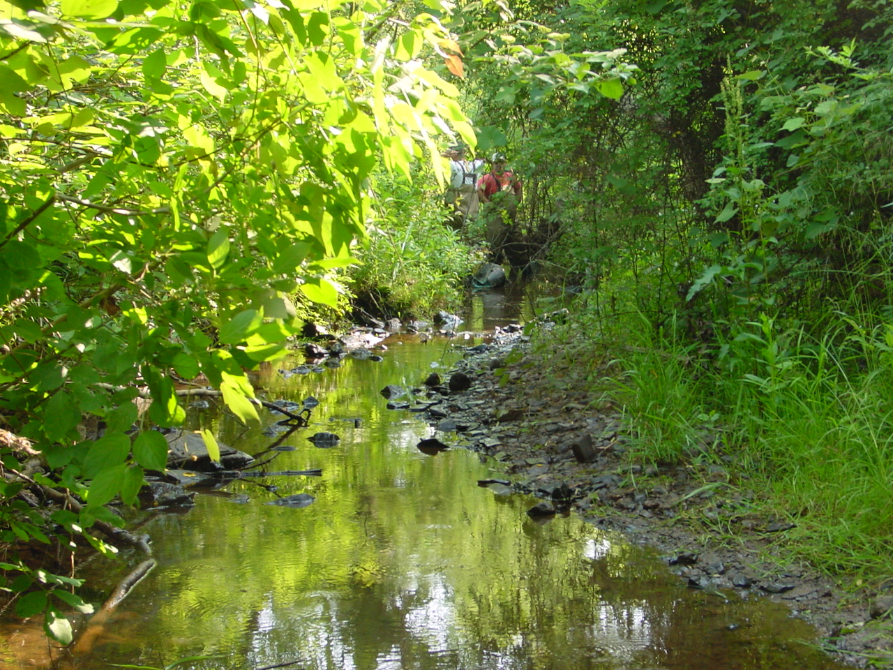 Field photo showing stream conditions at site LTON-210-R-2002-4