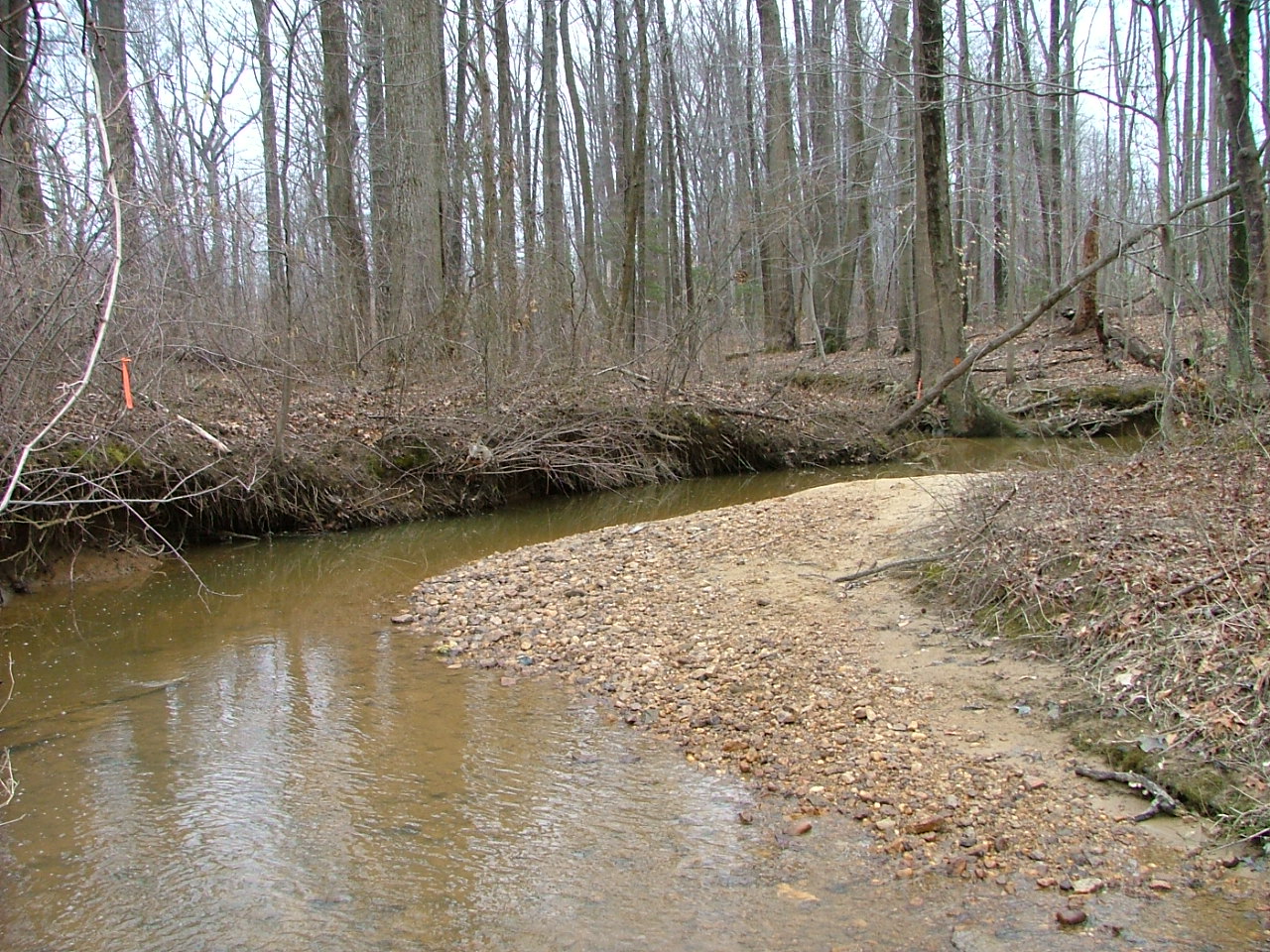 Field photo showing stream conditions at site LWIN-103-R-2004-8