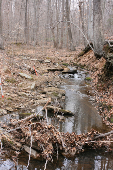 Field photo showing stream conditions at site LWIN-108-X-2011-1