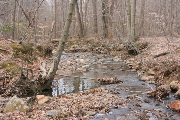 Field photo showing stream conditions at site LWIN-108-X-2011-2