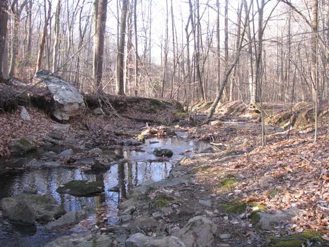 Field photo showing stream conditions at site LWIN-108-X-2013-2