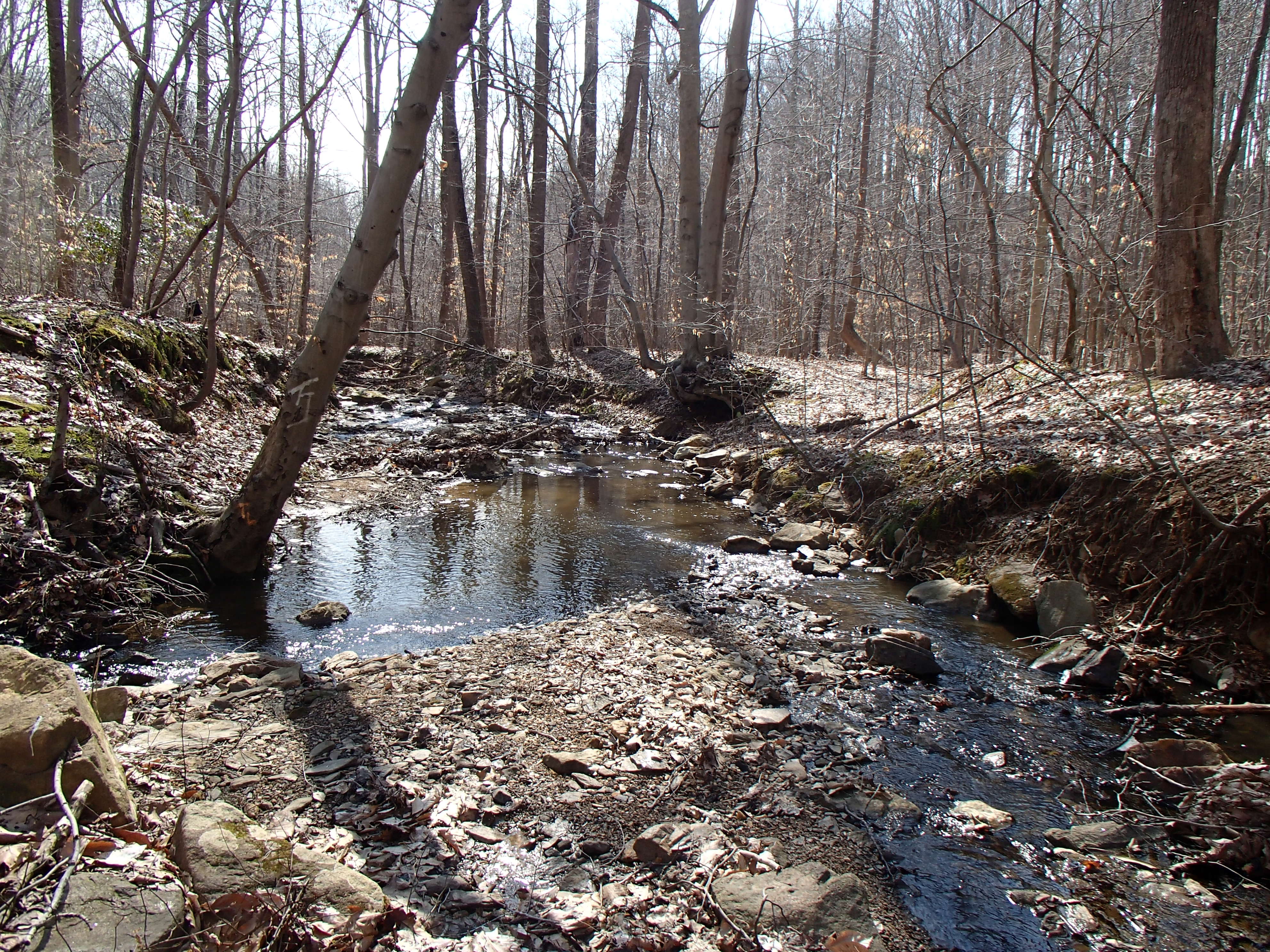 Field photo showing stream conditions at site LWIN-108-X-2014-2
