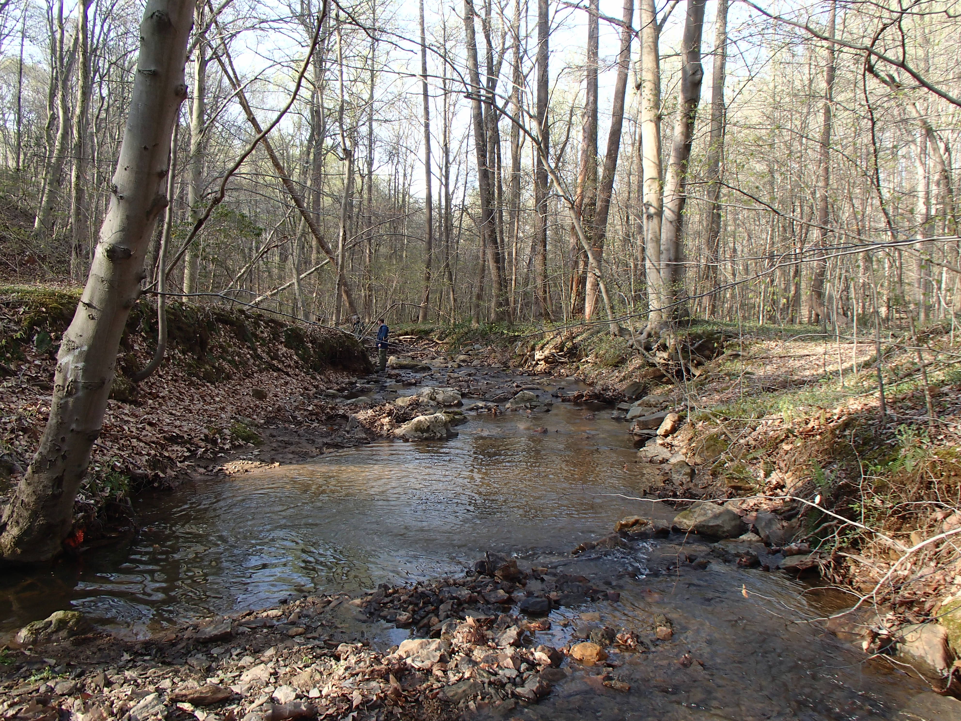 Field photo showing stream conditions at site LWIN-108-X-2015_Midpoint-downstream
