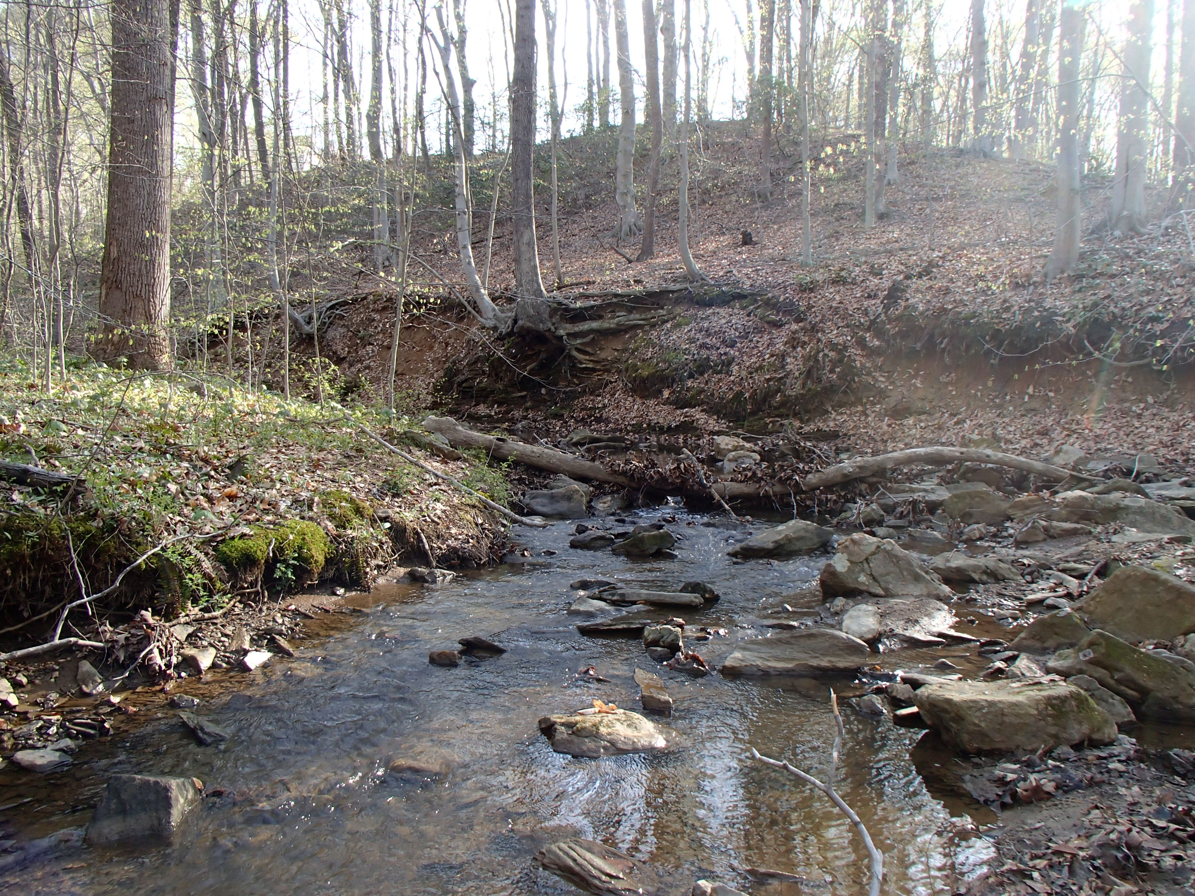 Field photo showing stream conditions at site LWIN-108-X-2015_Midpoint-upstream