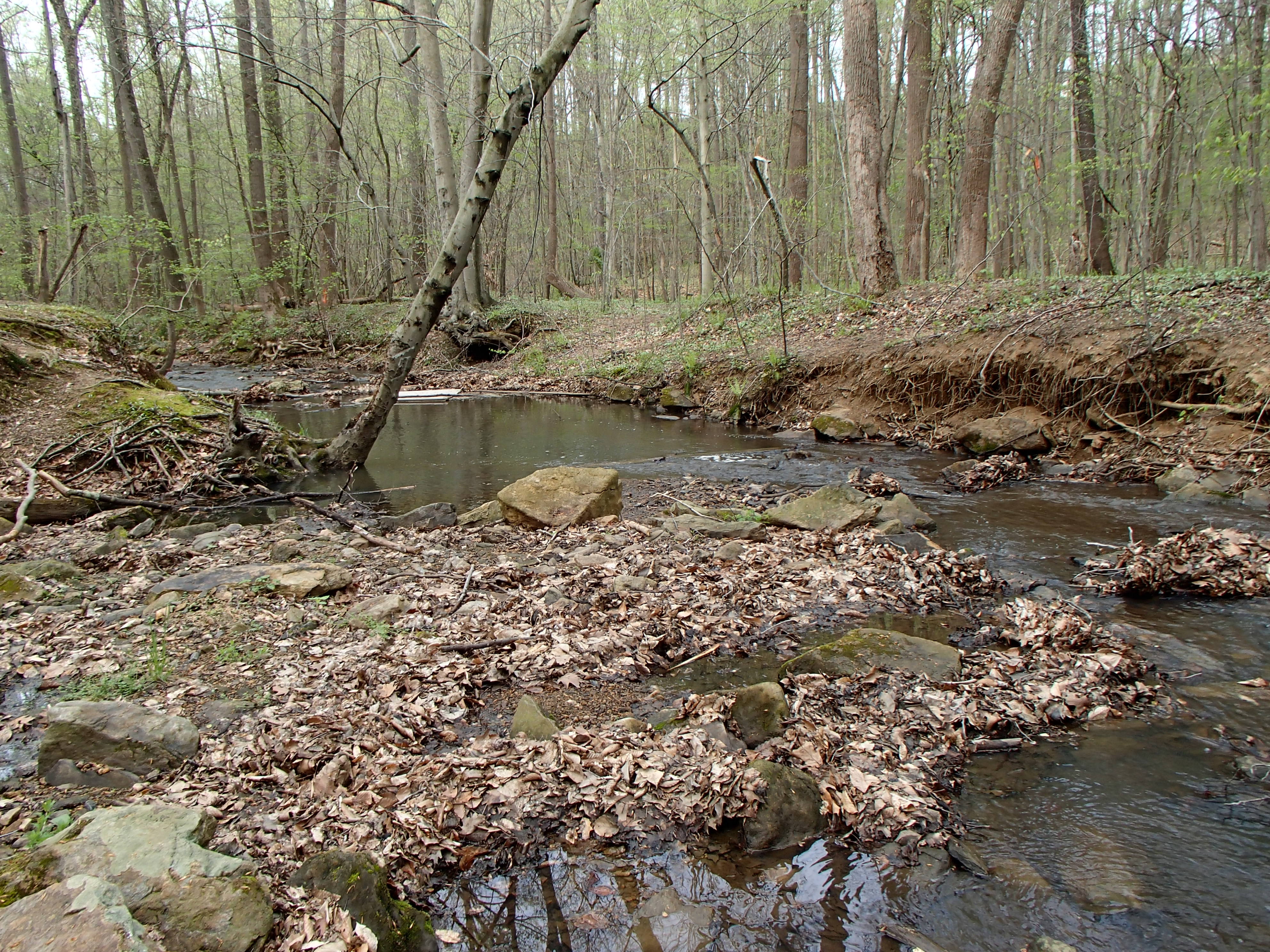 Field photo showing stream conditions at site LWIN-108-X-2017-MidpointLookingDownstream
