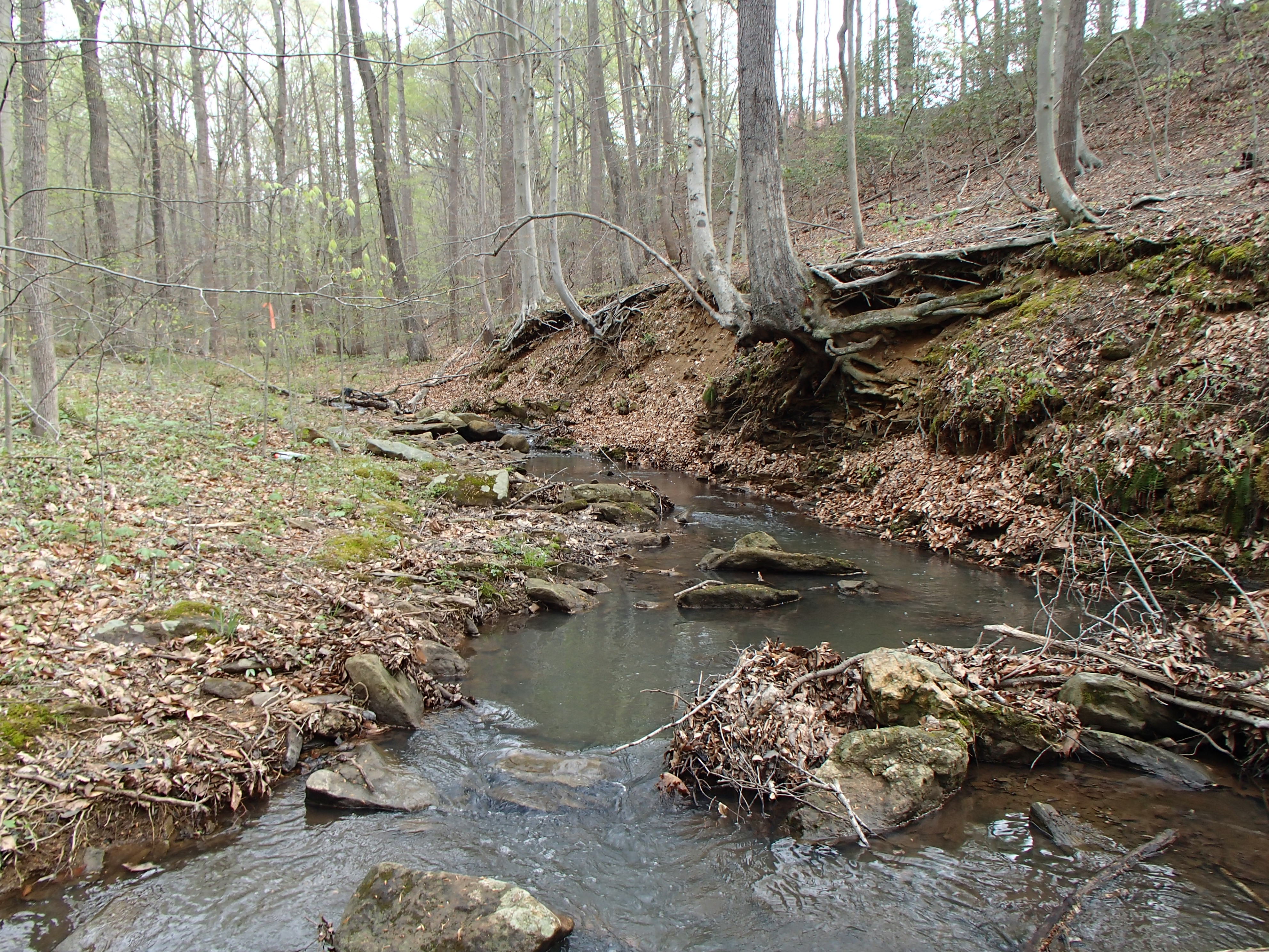 Field photo showing stream conditions at site LWIN-108-X-2017-MidpointLookingUpstream