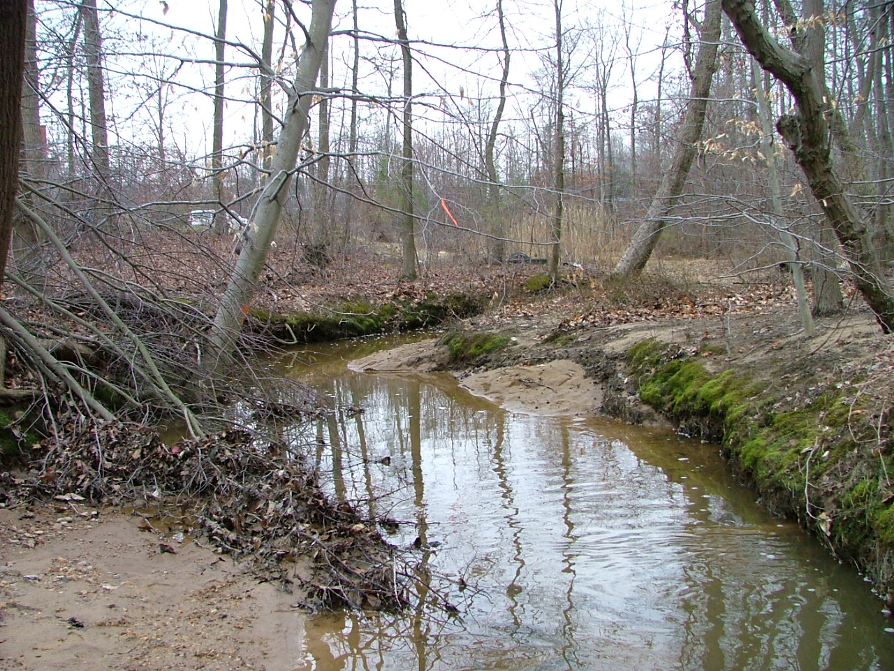 Field photo showing stream conditions at site LWIN-112-R-2004-3