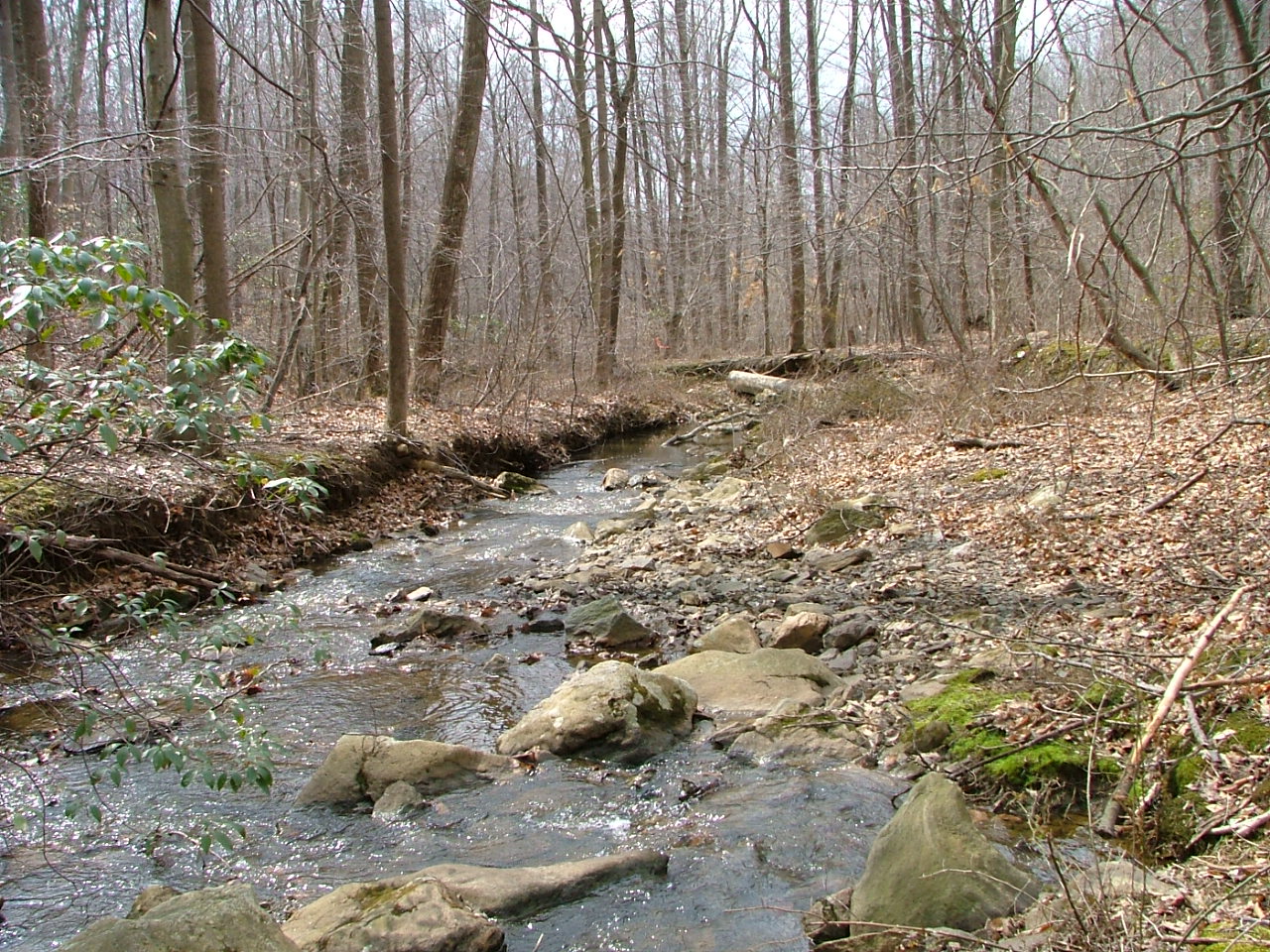 Field photo showing stream conditions at site LWIN-115-R-2004-1