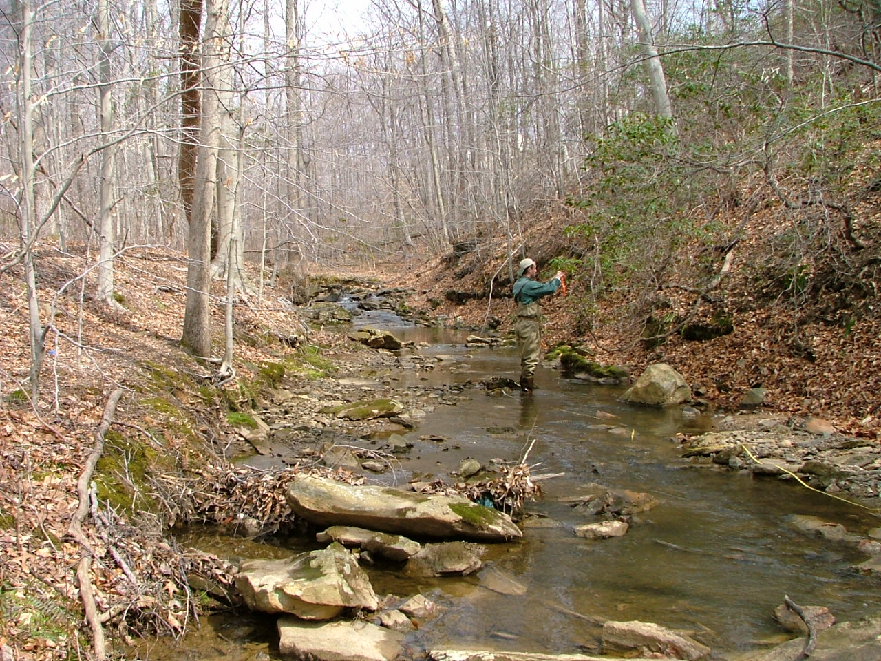 Field photo showing stream conditions at site LWIN-115-R-2004-2