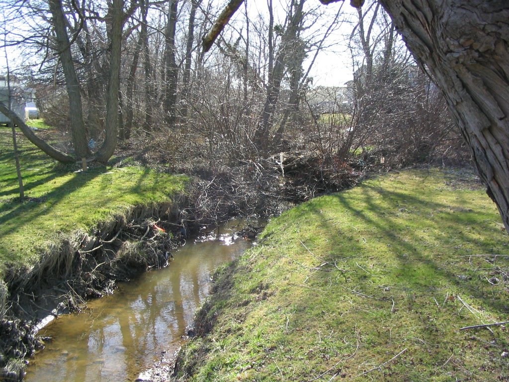 Field photo showing stream conditions at site LWIN-120-R-2004-7