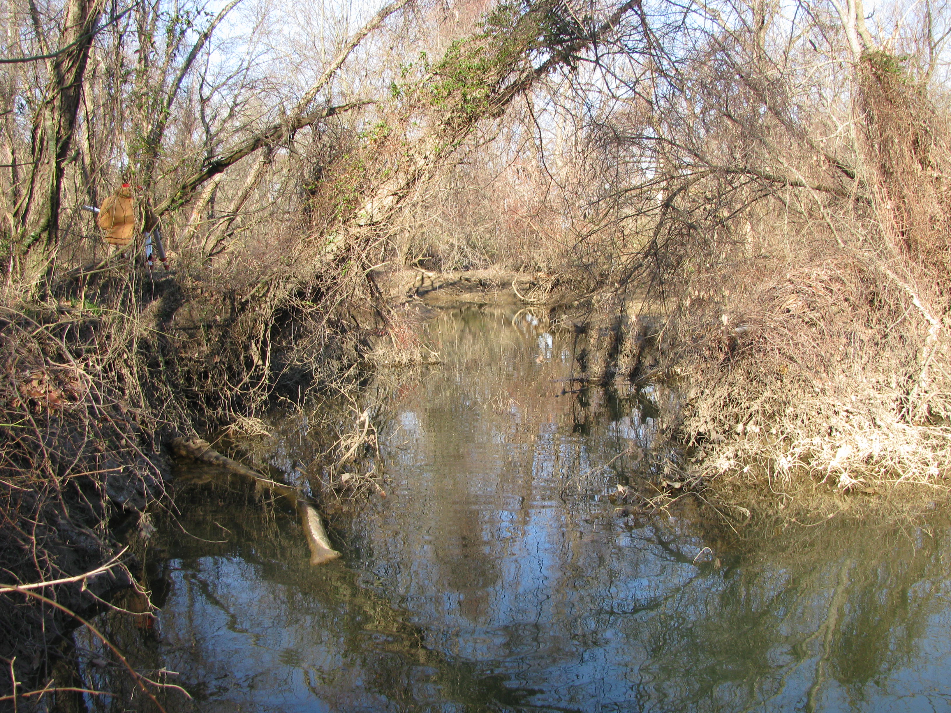 Field photo showing stream conditions at site LWIN-306-A-2012-1
