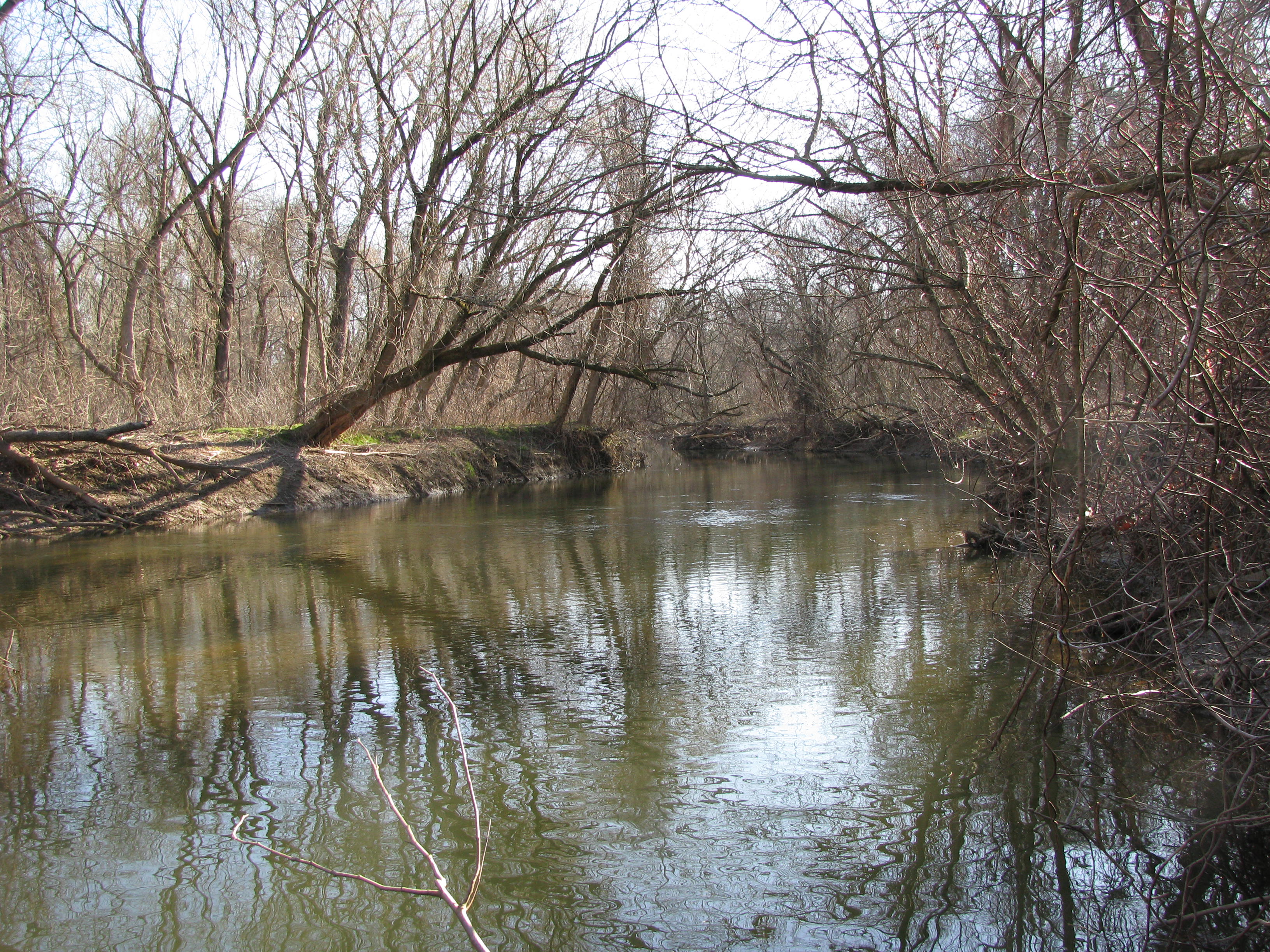 Field photo showing stream conditions at site LWIN-306-A-2012-2