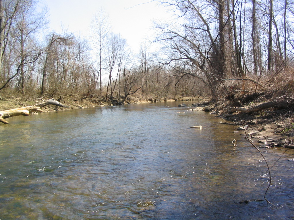 Field photo showing stream conditions at site LWIN-308-R-2004-4