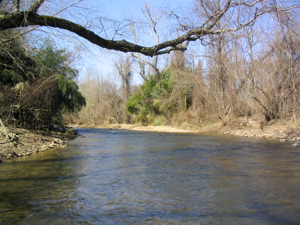 Field photo showing stream conditions at site LWIN-308-R-2004-5