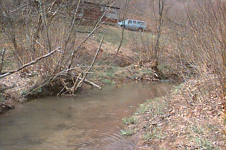 Field photo showing stream conditions at site LYOU-101-C-2000-01