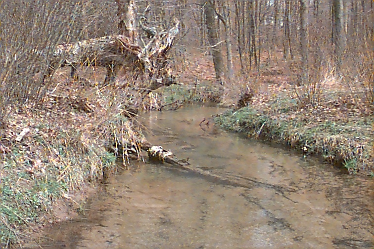 Field photo showing stream conditions at site LYOU-101-C-2000-02