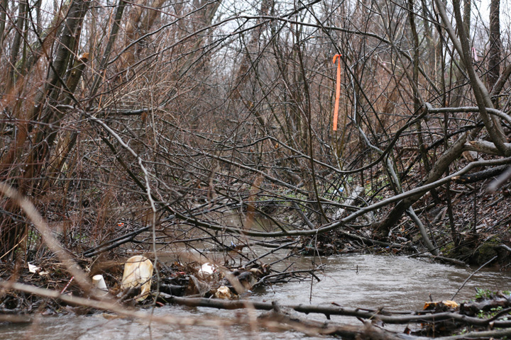 Field photo showing stream conditions at site LYOU-110-R-2009-2