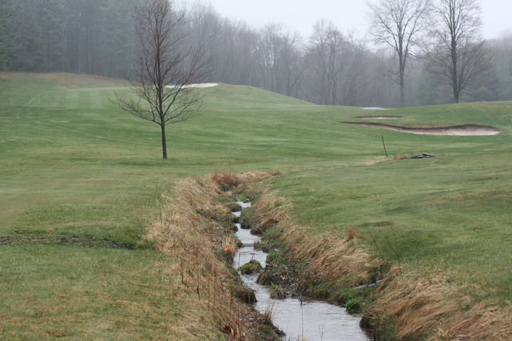 Field photo showing stream conditions at site LYOU-114-R-2009-2