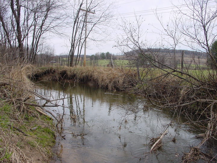 Field photo showing stream conditions at site LYOU-237-A-2007-2