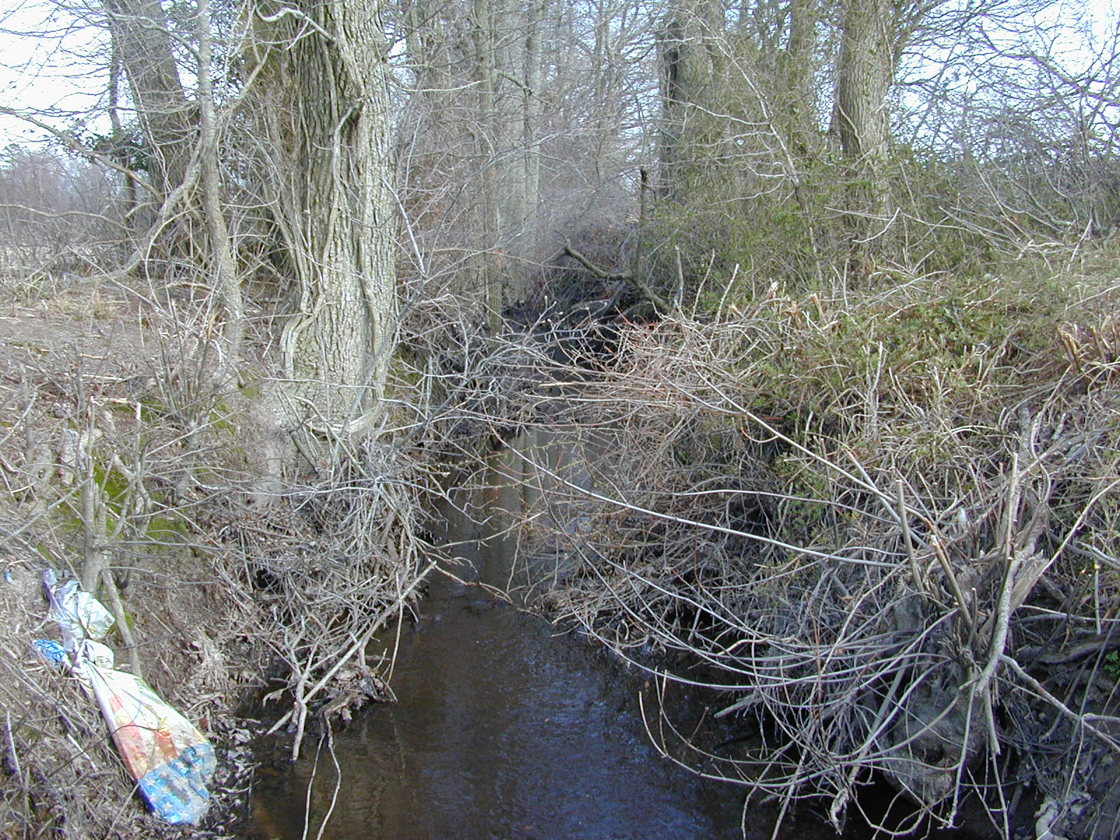 Field photo showing stream conditions at site MACK-103-R-2004-1