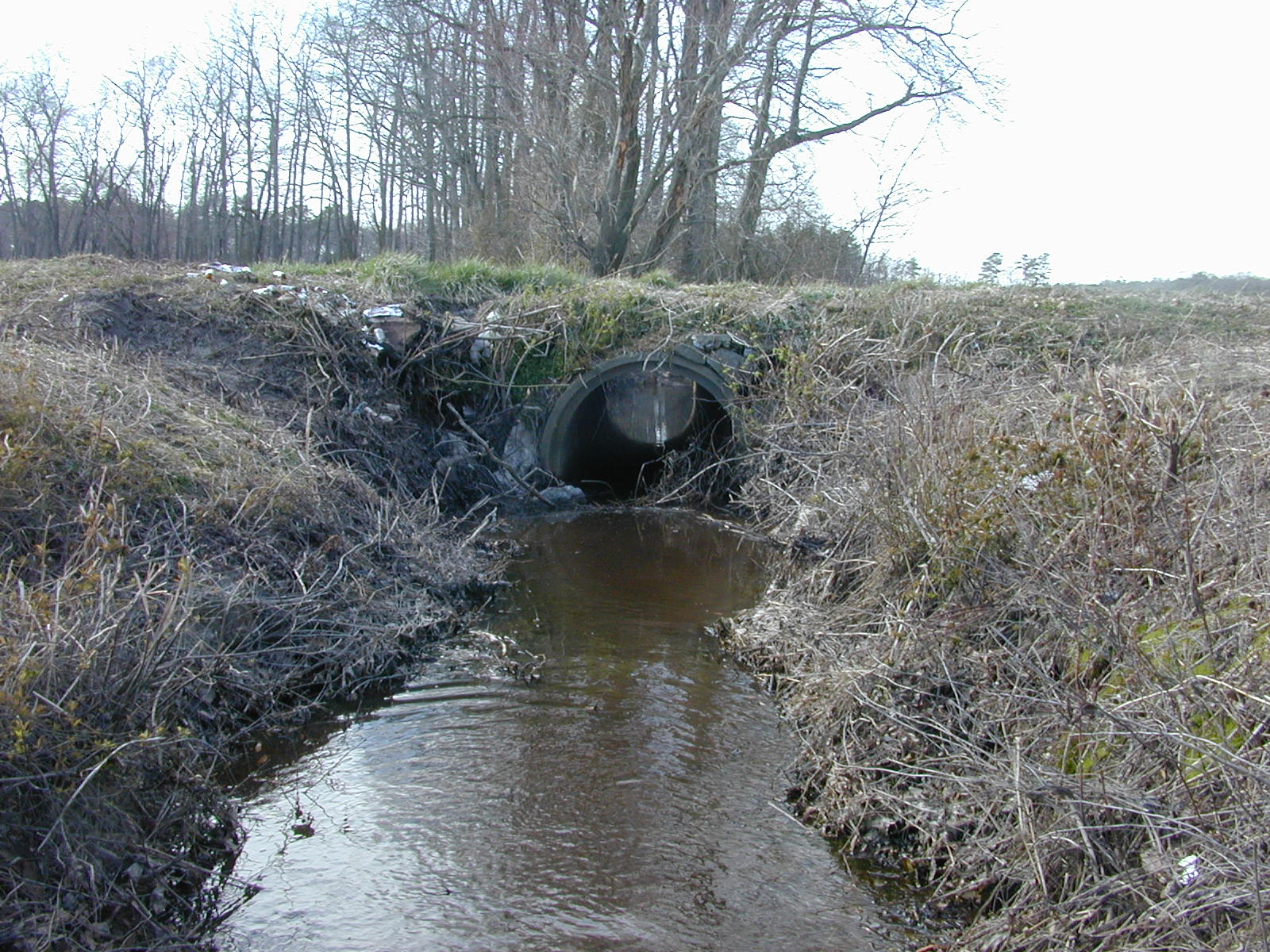 Field photo showing stream conditions at site MACK-103-R-2004-2