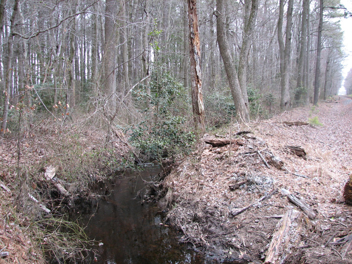 Field photo showing stream conditions at site MACK-103-R-2007-1