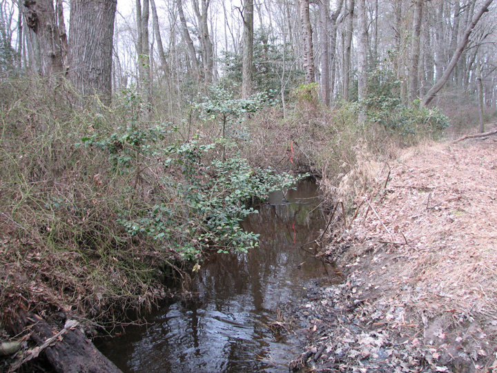 Field photo showing stream conditions at site MACK-103-R-2007-2