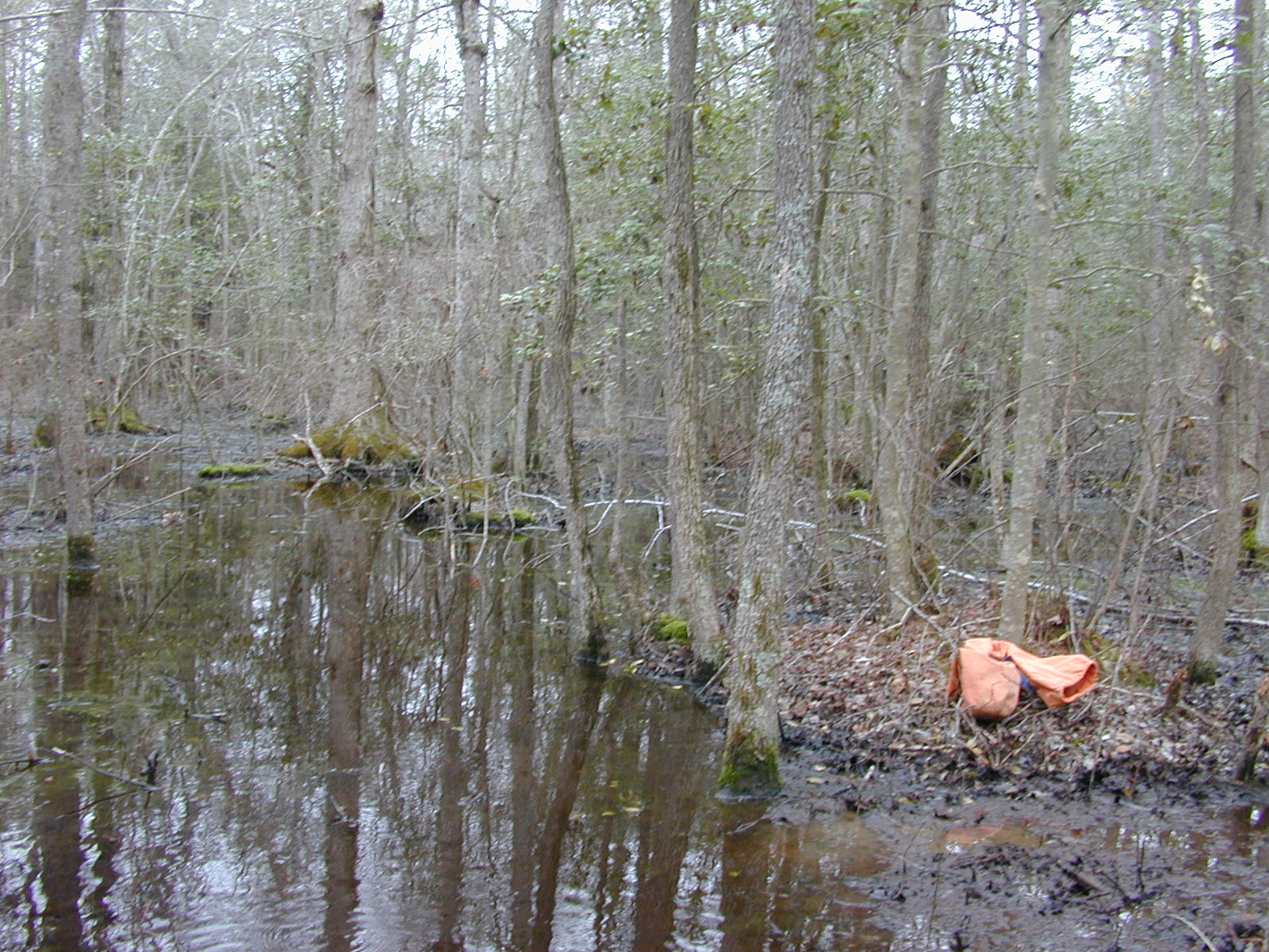 Field photo showing stream conditions at site MACK-108-R-2004-2